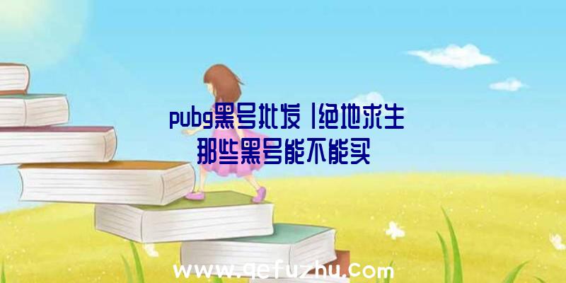 「pubg黑号批发」|绝地求生那些黑号能不能买